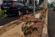 Kolong LRT Dipercantik dengan Bunga Warna-Warni