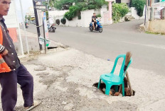 Lubang Besar Tepat di Tengah Jalan