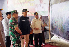 Optimalisasi 65 Ribu Hektare Lahan Rawa di OKI