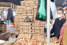 Wabup Muara Enim Dorong Peningkatan Produksi Pertanian Lokal