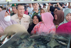 400 Kg Ikan Subsidi Pemkab Muara Enim Ludes dalam 15 Menit