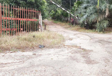 Jalan Keluar Belakang Hutan Wisata Punti Kayu Banyak Lubang