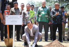 Jembatan Sako (T3) Dorong Percepatan Pembangunan Sumsel