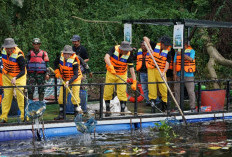 PLN Gelar Aksi Bersih dan Olah Sampah di 54 Lokasi Se-Indonesia