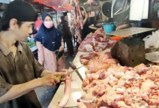 Harga Daging Sapi di Pasar Palimo