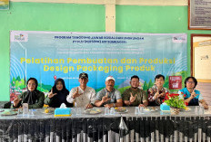 Dorong Digitalisasi, UMKM Binaan PLN Pasarkan Produk di Marketplace