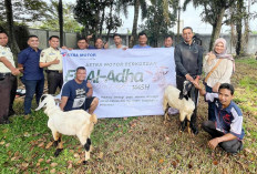 Astra Motor Sumsel Rayakan Idul Adha, Serahkan Kurban Kambing