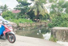 Jembatan Tidak Ada Besi Penahannya