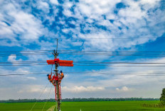 Pendapatan PLN Tumbuh Signifikan Mencapai Rp487 Triliun