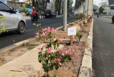 Bunga Warna-warni Hiasi Taman Bawah LRT