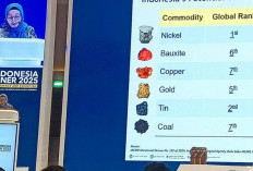 Kementerian ESDM Optimis  PNBP Minerba Penuhi Target pada 2025