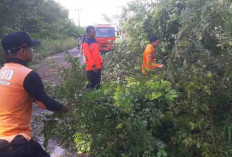 Tanggap Darurat BPBD Muba, Jalan Sekayu - Bandar Jaya Kembali Normal
