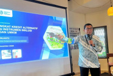 2 Kendala Utama UMKM Sulit Dapat Akses Pembiayaan, Menurut OJK: Bukan Hanya  Soal Aset!