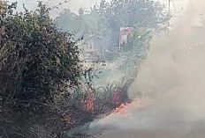 Kebakaran Lahan Rawa di Tanjung Aur