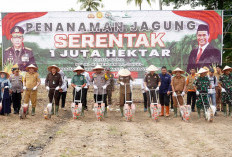 Wujudkan Swasembada Pangan Polres OKU Timur Tanam Jagung 1 Juta Hektar