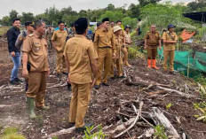 Desa Betung Barat PALI Buka Lahan Pertanian yang Dikelola Bumdes