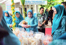 Dorong Revitalisasi Dasawisma di OKU Timur