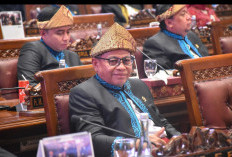 HUT Sumsel ke 79, Ketua Fraksi PKS Apresiasi Capaian Kemajuan Yang Diraih Pemprov Sumsel