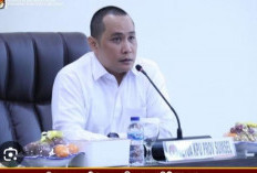 KPU Sumsel Pastikan Hak Pilih Wilayah Perbatasan