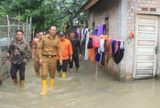 Puluhan Rumah Warga Terendam banjir di Desa Tanjung Telang 