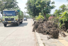 Bekas Ranting Pohon di Trotoar Soekarno Hatta Dibiarkan Saja