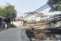 Kabel Internet Menyuntai