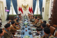 Apindo Nilai Pertemuan RI-FKI Perkuat Kerja Sama Sektor EV dan Baterai