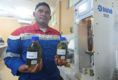 Dari Sawit ke Solar: Energi Hijau Mengalir dari Kilang Pertamina Plaju