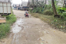 Jalan Talang Jering Lorong Bersama Masih Banyak Lubang Besar