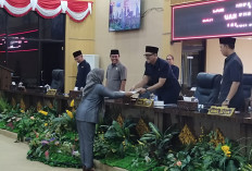 Fraksi Gerindra Soroti Aksi Kriminalisasi Terhadap Nakes