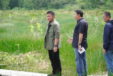 Gubernur Herman Deru Tinjau Lintasan Drag Race dan Road Race JSC Jakabaring
