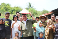 Dorong Promosi Rumah Pewana Alami Kebun Raya Sriwijaya