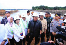 Dorong Investasi Energi Terbarukan