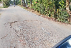 Badan Jalan Gogokan Kito Mulai Rusak