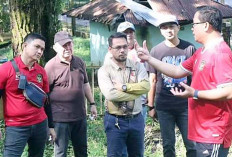 Sambut HUT Lahat ke-155 Taman Ribang Kemambang Dipercantik