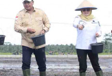 Karang Agung Ilir Jadi Pilot Project Benih IP 300 di Banyuasin