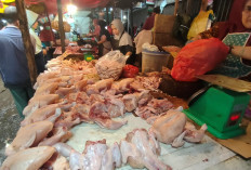 Harga Cabai dan Daging Ayam Mulai Turun