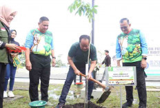 Cegah Bencana Hidrometeorologis Dorong Gerakan Tanam Pohon