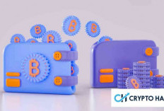 Apa itu Cold Wallet? Memahami 4 Cold Wallet Terbaik untuk Investor Kripto
