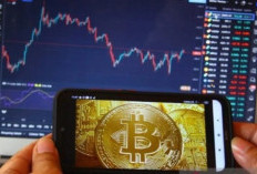 Indodax Catatkan Transaksi Kripto Rp133 Triliun 