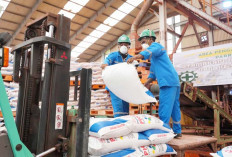 Pusri Sebut Stok Pupuk Urea Subsidi Capai 200.682 Ton