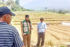 Krisis Air Intai Lereng Dempo
