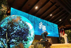Tingkatkan Investasi Karbon, IDCTA Gelar Carbon Digital Conference 2024