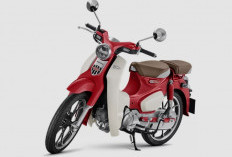 Tembus Rp 80 Juta! Inilah Harga Terbaru Honda Super Cub C125 2025 di Indonesia