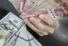 Rupiah Merosot Di Tengah Sentimen Risk Off Di Pasar