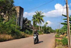 Muba Sebar Kuesioner Penerangan Jalan Umum