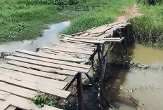 Jembatan Penghubung Lubuk Bakung-Tanjung Barangan Masih Terbuat dari Kayu