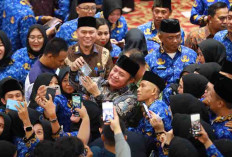 Herman Deru Layangkan Surat Usulan PPPK Paruh Waktu ke Menpan - BKN