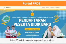 Emak-emak Palembang Resah, Gara-gara Belum Bisa Lihat Pengumuman PPDB SD dan SMP