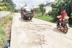 Menyisahkan 500 Meter, Jalan Rusak di Gogokan Kito Gandus